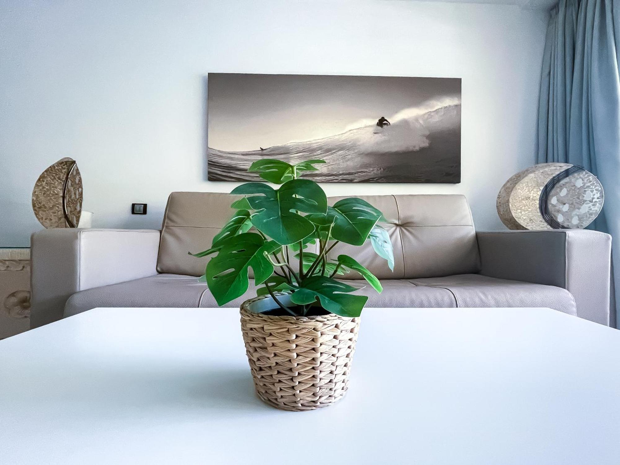 B-Rent Atlantic Garden 181 Apartment คอร์ราเลโฮ ภายนอก รูปภาพ